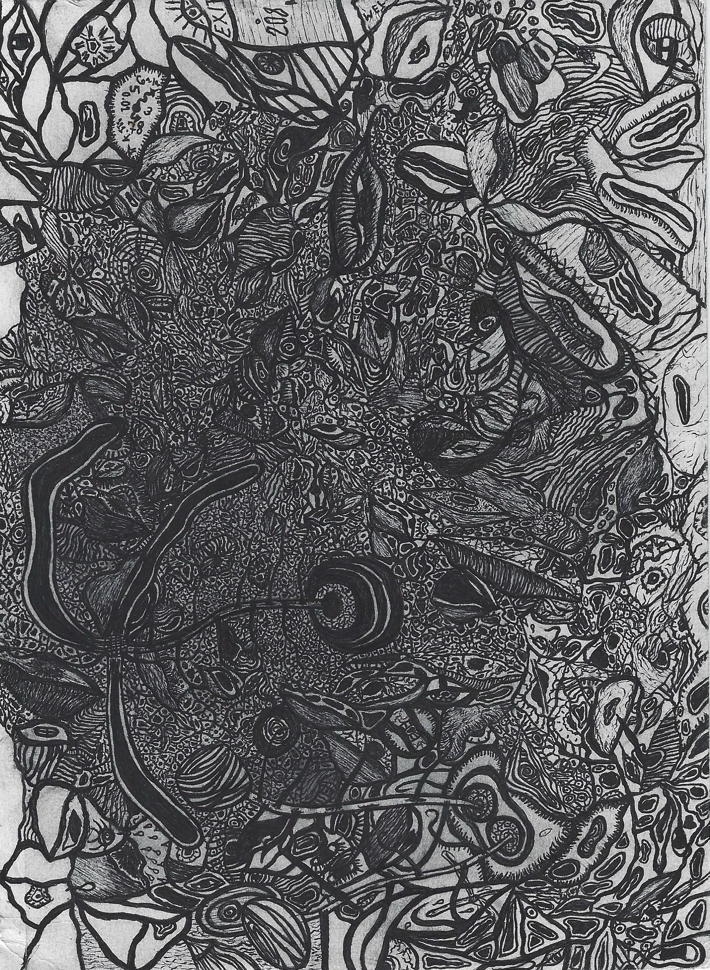 Duality