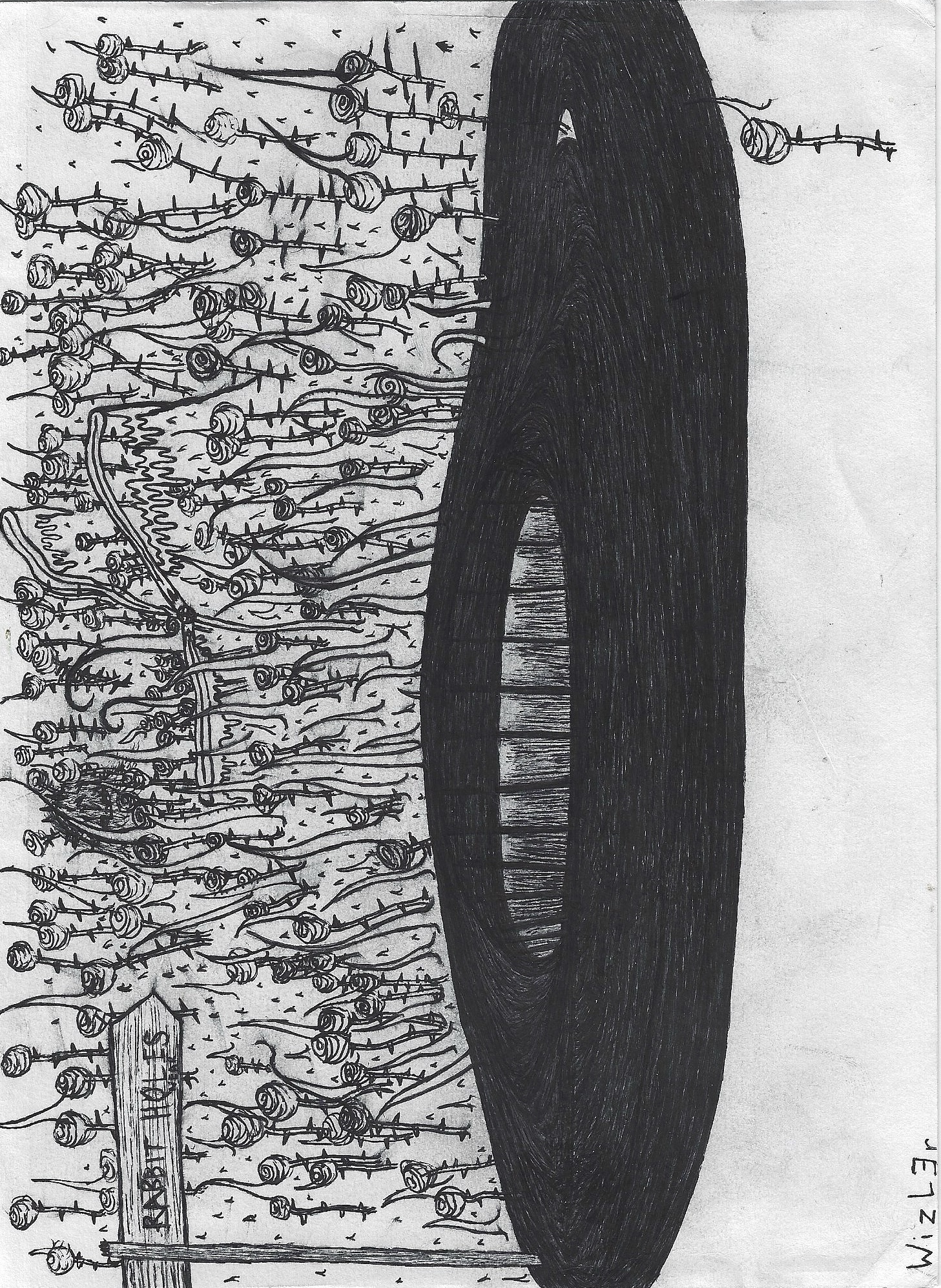 Rabbit Holes